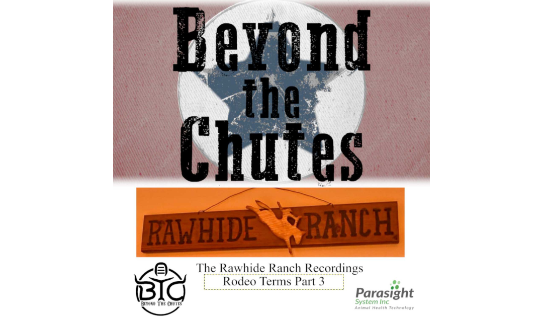 Rodeo 101: Demystifying the Main Events