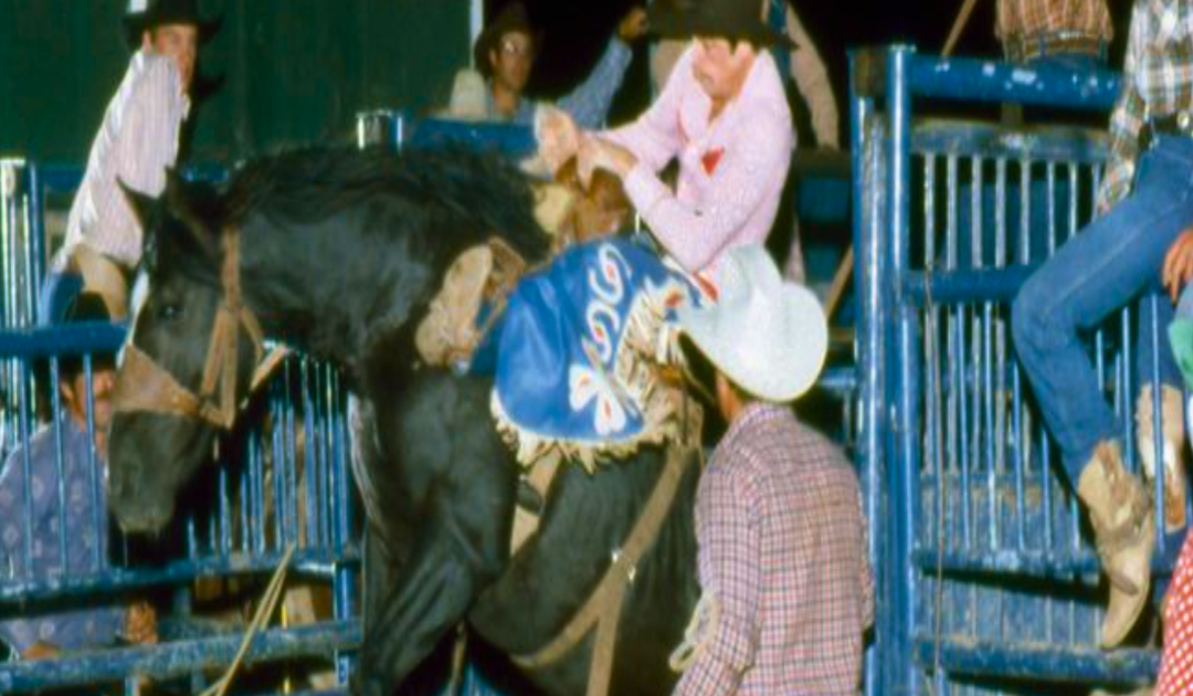 Rodeo Roundup: Insights with Daylon Swearingen & A Deep Dive into Rodeo’s Past and Present