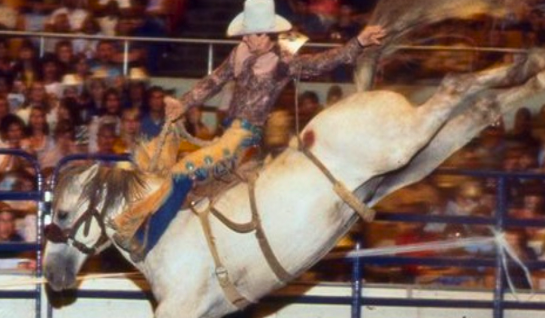 From the Arena to the Pulpit: The Extraordinary Journey of Mike Fletcher