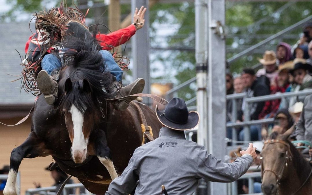 Western Festival de St. Tite: IPRA Updates with Dale Yerigan