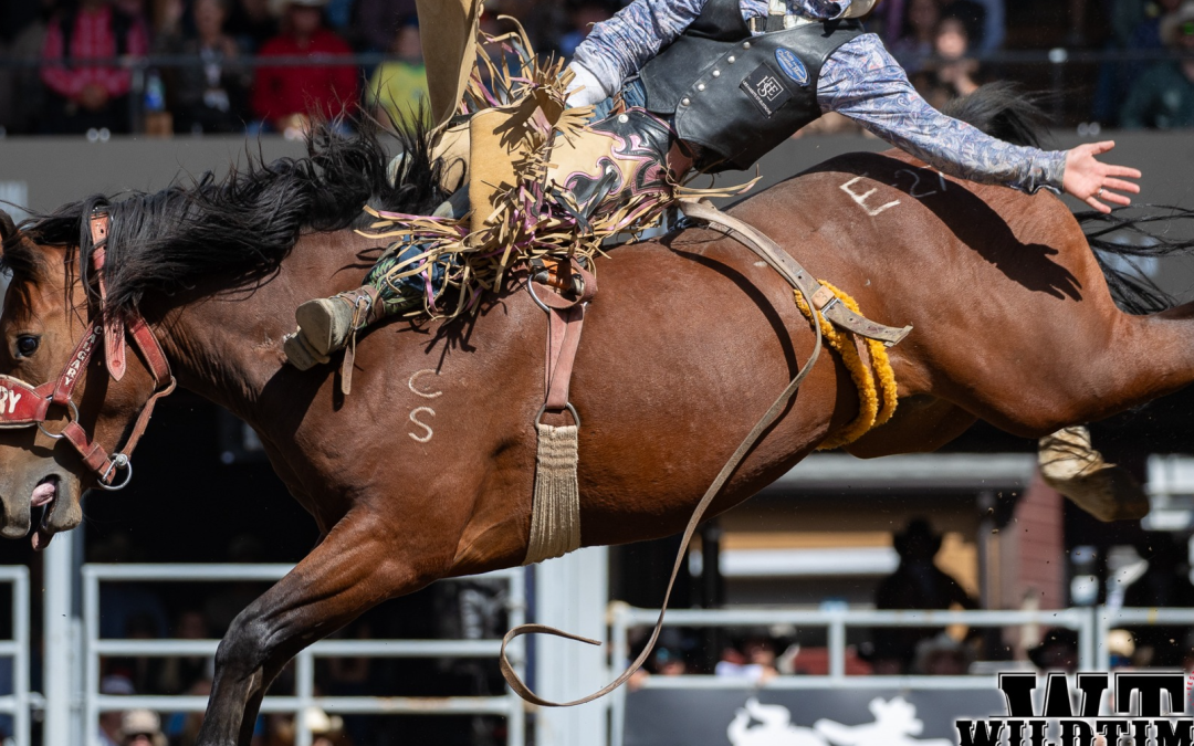 #159 The State of Rodeo 2025 with IPRA President Dale Yerigan